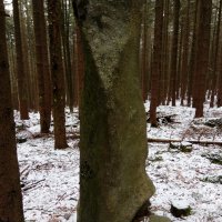 Bohyně